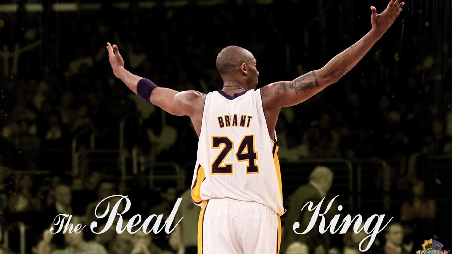 扎卡里·里萨谢在NBA常规赛中砍下38分，扎卡里亚拜仁